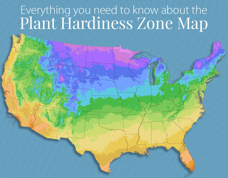 Plant Hardiness Zone Chart