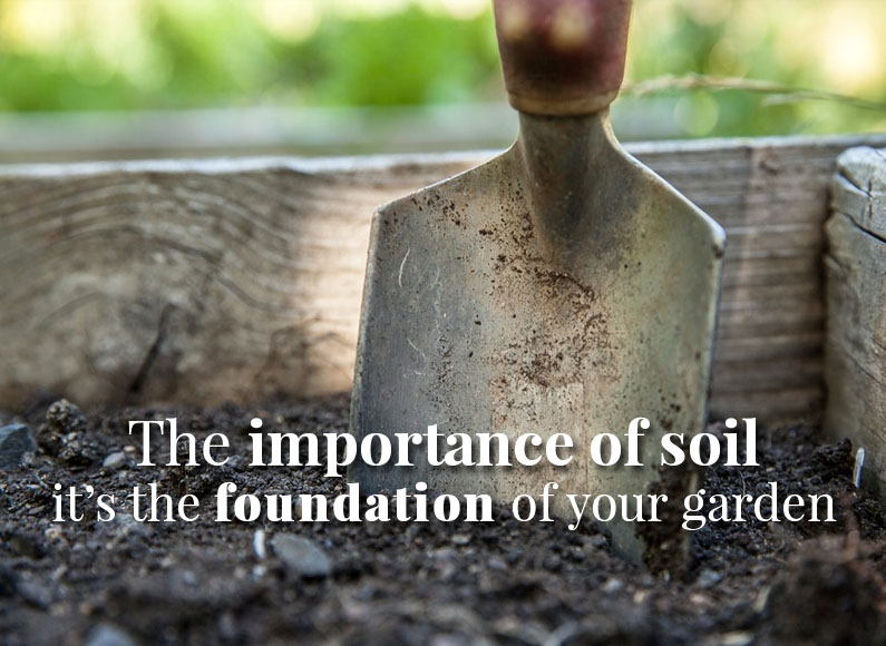 The Importance of Soil The Foundation of Your Garden The Herb Exchange