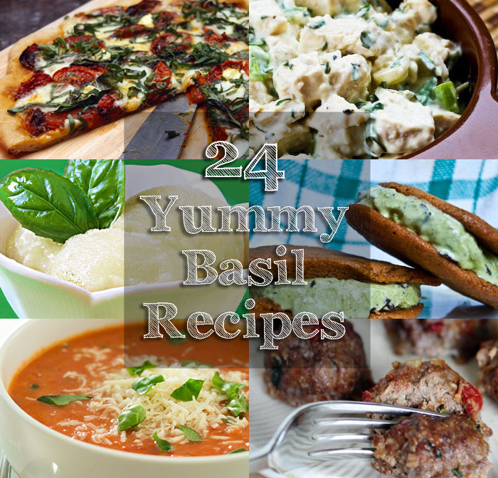 24-yummy-basil-recipes