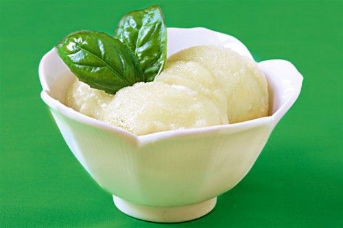 basil-lime-sorbet1