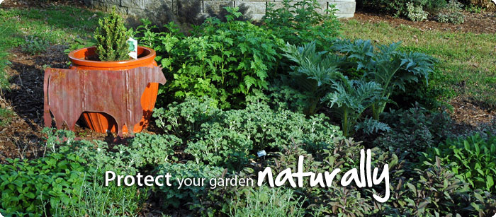 protect-garden-naturally