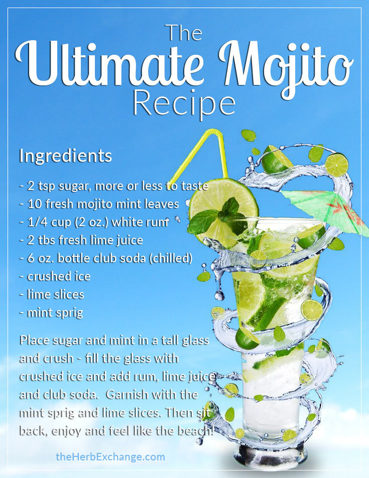 ultimate mojito recipe full