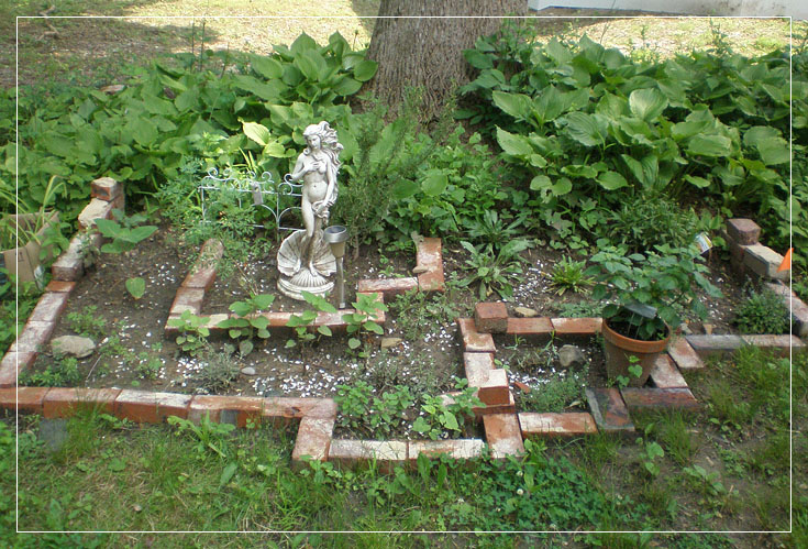 an outdoor kitchen herb garden