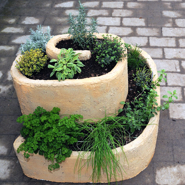 a spiral herb garden