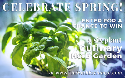 Spring Culinary Herb Garden Giveaway