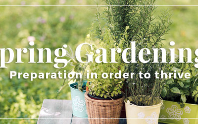 Herb Gardening: It’s About Spring Time