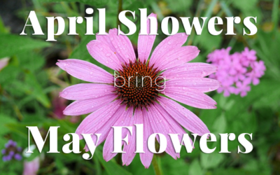 April Showers Bring May Flowers Giveaway