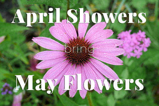 April Showers Bring May Flowers Giveaway - The Herb Exchange