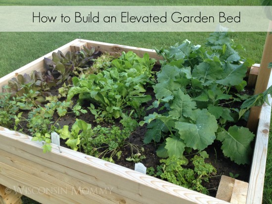 how-to-build-an-elevated-garden-bed-title-550x412