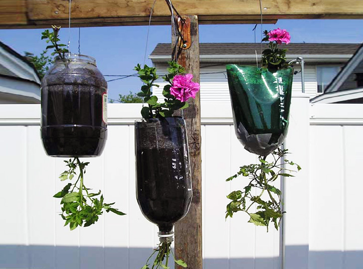 pop-bottle-planters