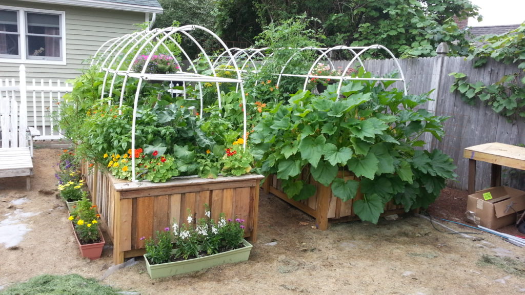 raised-bed-gardens-from-pallets-gardening-pallet-raised-garden-beds