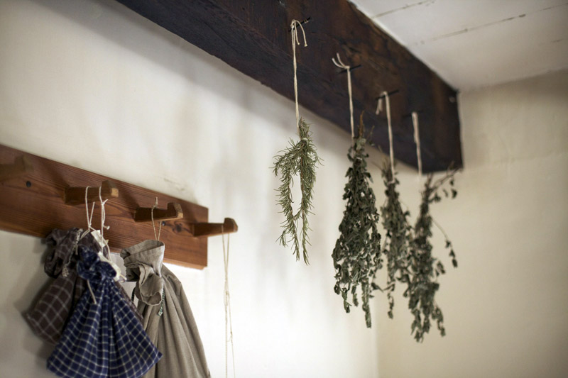 Harvesting, Drying and Storing Magical Herbs