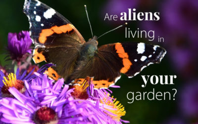 Native Plants: Is Your Yard Full of Aliens?