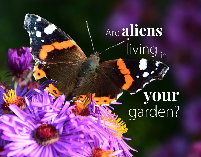 Native Plants: Is Your Yard Full of Aliens?