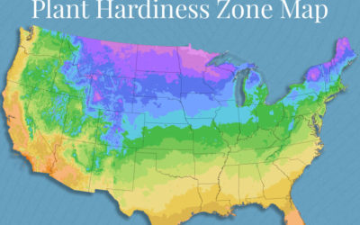 Everything You Wanted to Know About Plant Hardiness Zones (*but were afraid to ask)