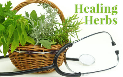 Healing Herbs for a Healing Garden