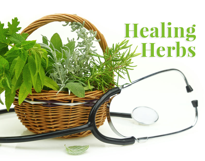 Healing Herbs for a Healing Garden