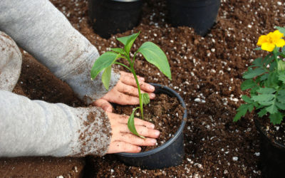 Gardening With Children: Teach Your Kids To Love Mother Nature