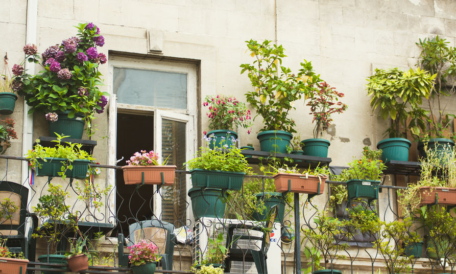 Gardening and Mindfulness