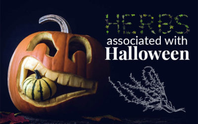 Herbs Associated with Halloween