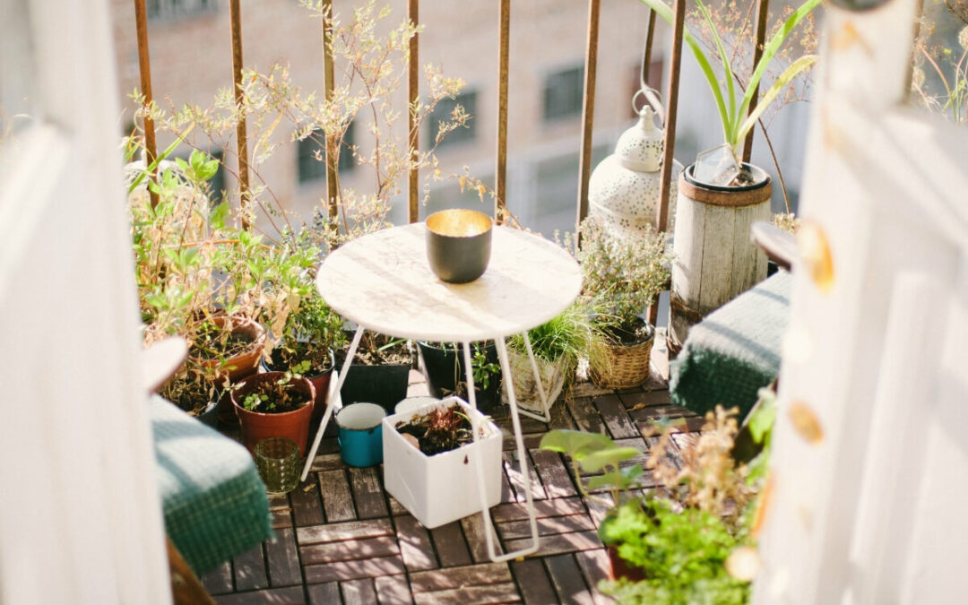 How to Grow an Eco-Friendly Balcony or Rooftop Food Garden