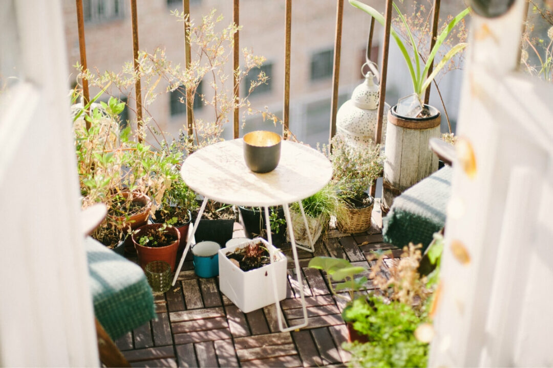 How to Grow an Eco-Friendly Balcony or Rooftop Food Garden - The Herb ...