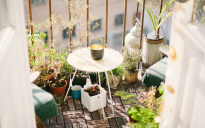 How to Grow an Eco-Friendly Balcony or Rooftop Food Garden