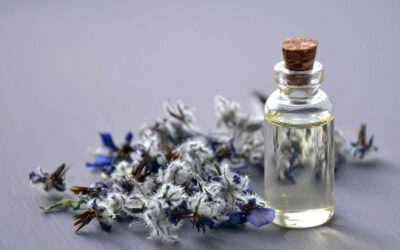 An Overview on Using Herbal & Essential Oils for Your Skin: How They Work and Which Ones Work Best