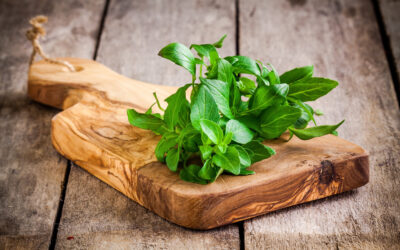 The Secret Life of Basil: Forlorn Love, Holy Water, and Scorpions?